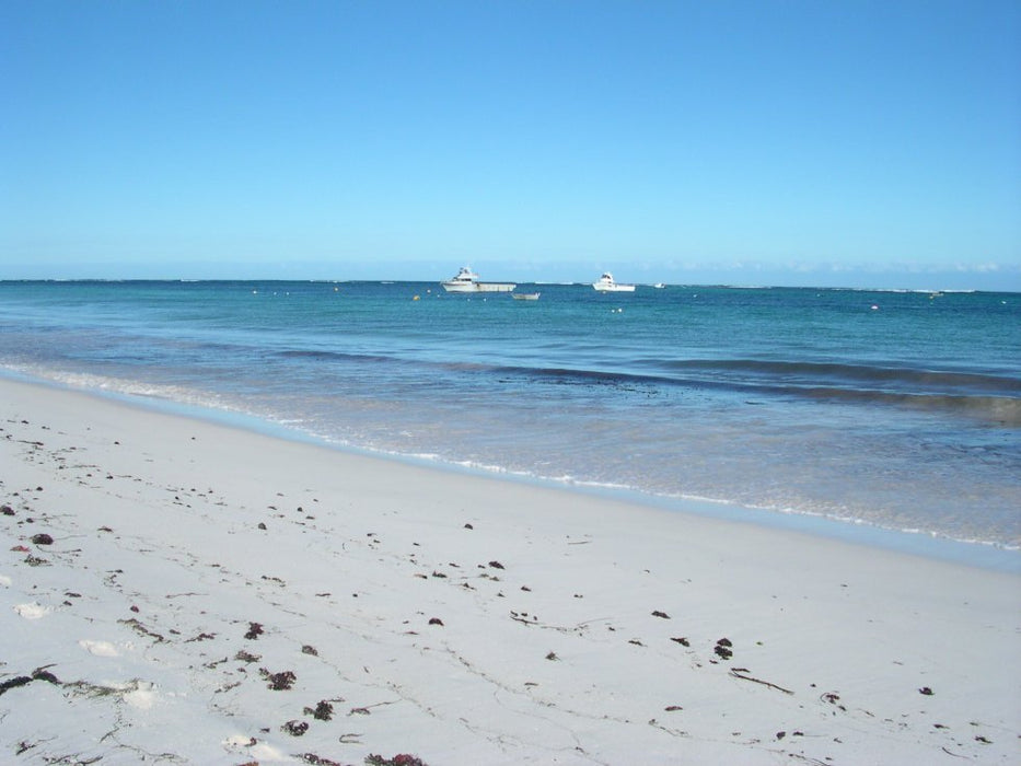 Pinnacles, Swan Valley Wildlife Park & Lancelin - We Wander