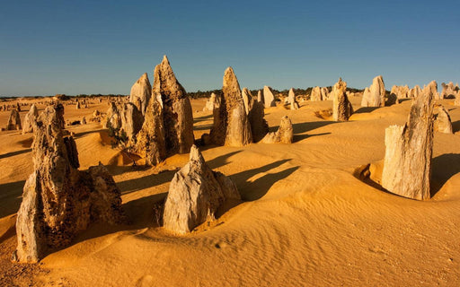 Pinnacles, Yanchep National Park & Lancelin - We Wander