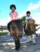 Pony Party - 1 Hour - Woodlands Lodge - We Wander