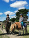 Pony Party - 1.5 Hours - Woodlands Lodge - We Wander