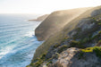 Port Lincoln - Wildlife, Sightseeing & 4Wd Tour - We Wander