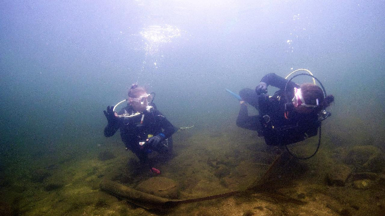 Rainforest Platypus Dive - We Wander