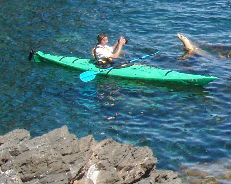 Rapid Bay Sea Kayaking Tour - We Wander