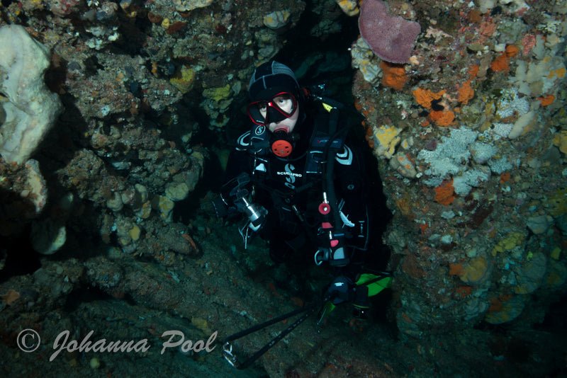 Rottnest Island (Wadjemup) Dive Or Snorkel - We Wander