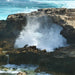 Rottnest Photographic Day Tour Without Ferry - We Wander