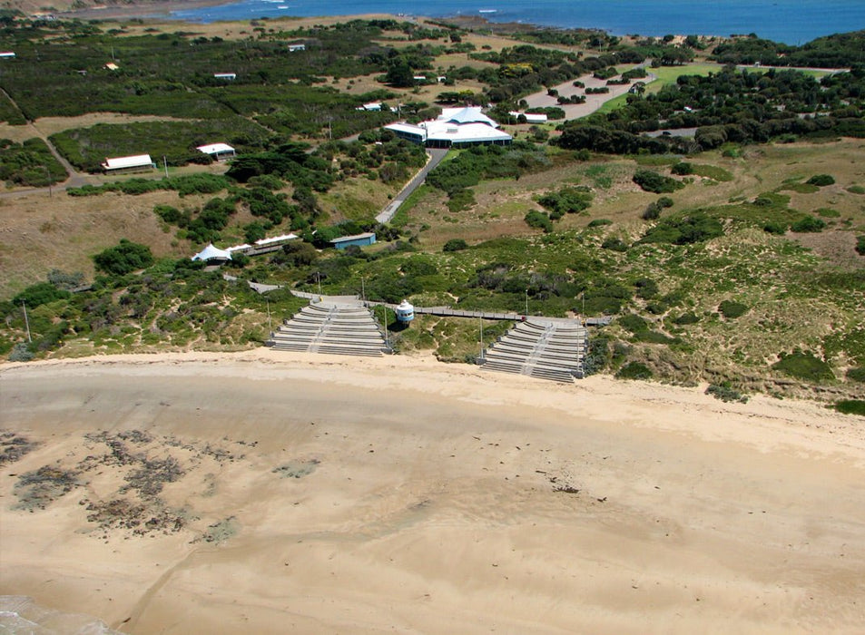 Scenic Flight 3 - Seal Rocks, Penguins & The Gp Circuit - We Wander