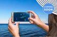 Sea World Whale Watching - We Wander