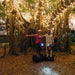 Segway Brisbane Scenic Adventure Night Tour 2Hr - We Wander