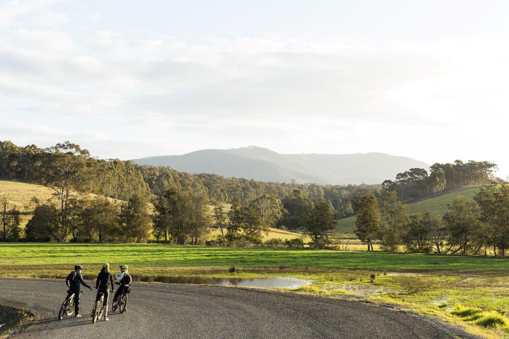 Self Guided E - Bike Tour - Pedal To Produce Series - Narooma To Tilba Valley Winery & Ale House - We Wander