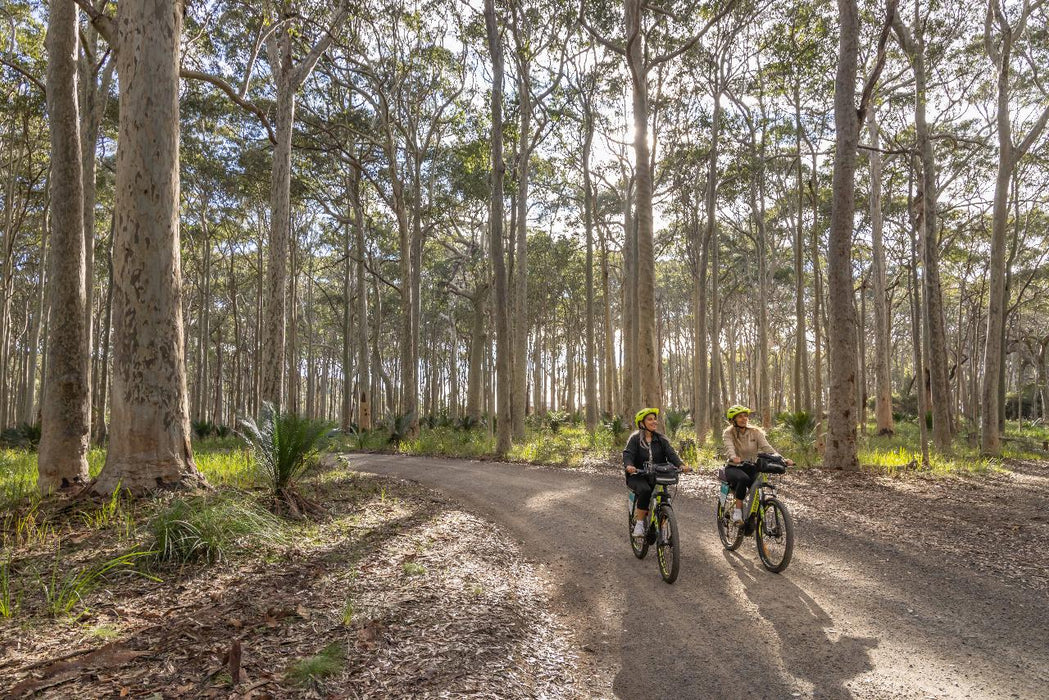 Self Guided E - Bike Tour - Pedal To Produce Series - Narooma To Tilba Valley Winery & Ale House - We Wander