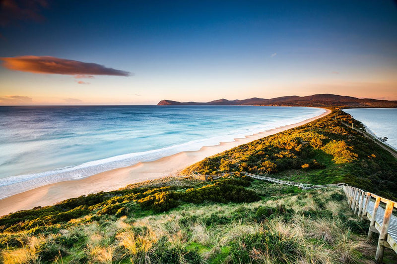 Shore Excursion - Bruny Island Day Tour - We Wander