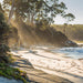 Shore Excursion - Bruny Island Day Tour - We Wander