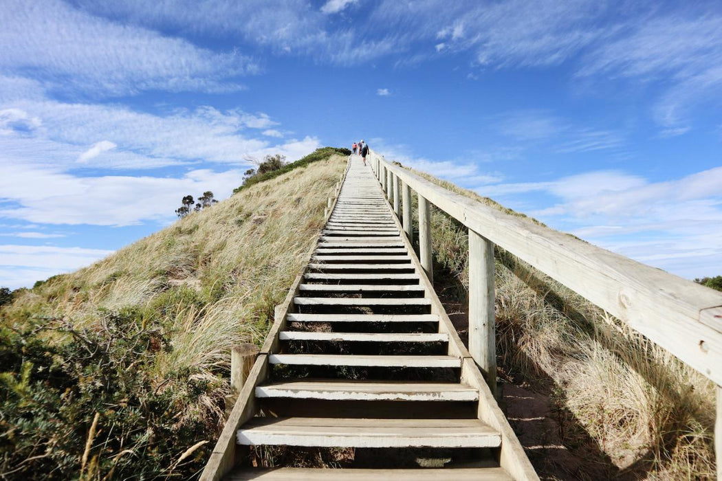 Shore Excursion - Bruny Island Day Tour - We Wander