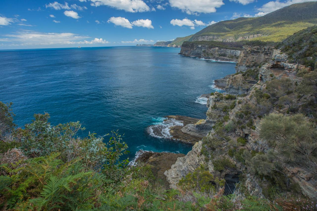 Shore Excursion - Port Arthur - Tasman Peninsula - We Wander