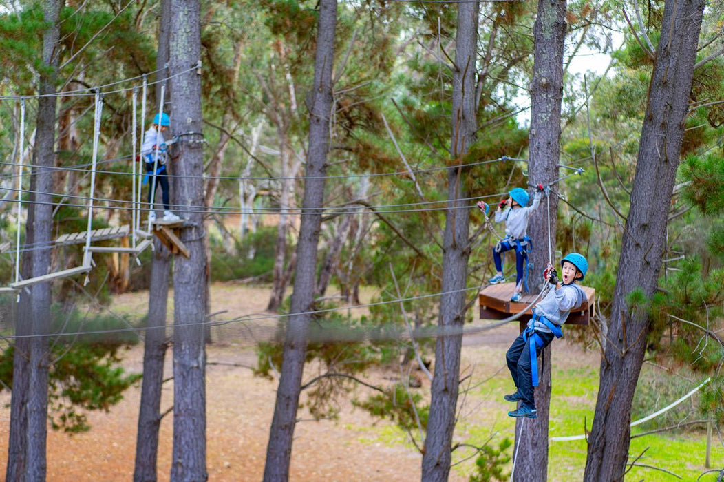 Southern Adventure Hub - Rock Climb & Ropes Course - We Wander