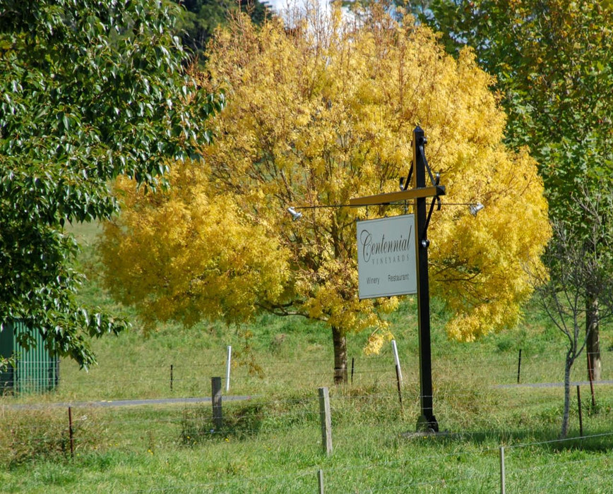 Southern Highlands Pub & Winery Tour - We Wander