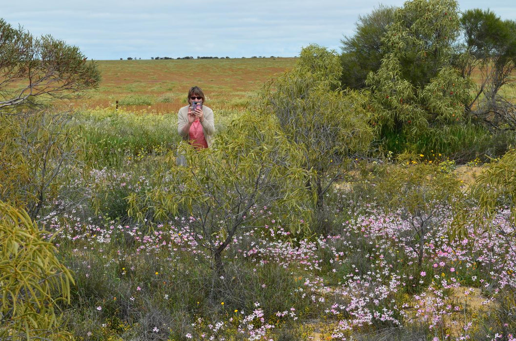 Southern Wheatbelt Wander Two Nights & Three Days - We Wander