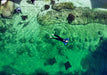 Stingray Snorkel With Entry Pass - We Wander
