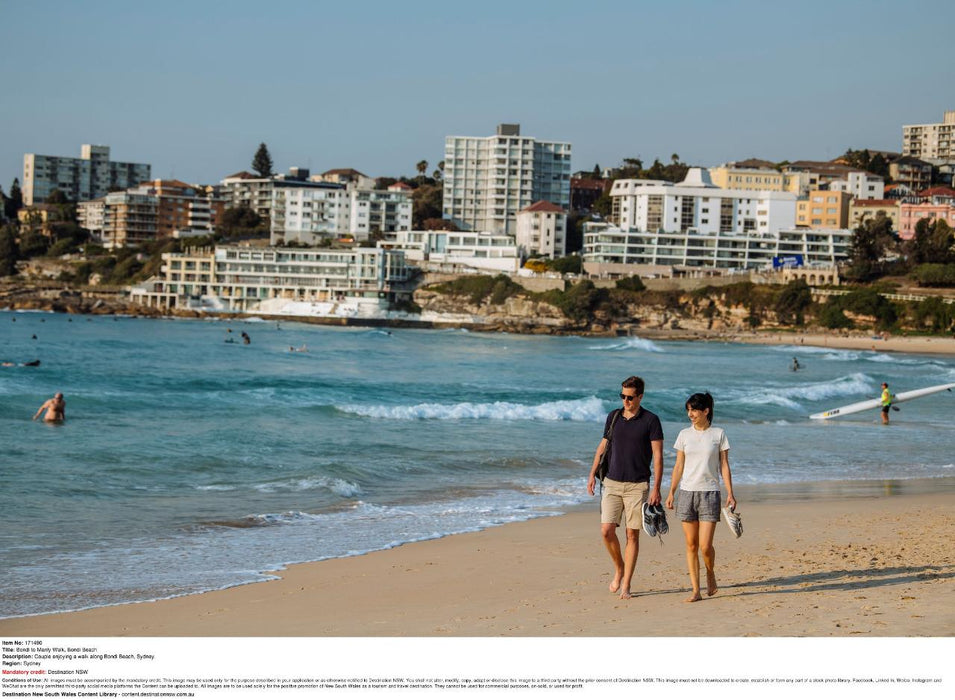 Sydney City Highlights Half Day Afternoon Private Charter Tour - We Wander