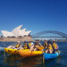 Sydney Harbour Highlights Kayaking Adventure - We Wander