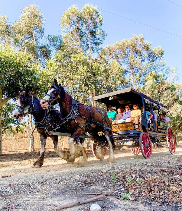 Taste The Valley - Full Day Horse Carriage Wine Tour With Lunch (Minimum 4 People ) - We Wander