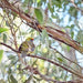 Three Capes & Tukana & Tasman Peninsula Off Peak Explorer - Lutruwita Tasmania - 3 Days - We Wander