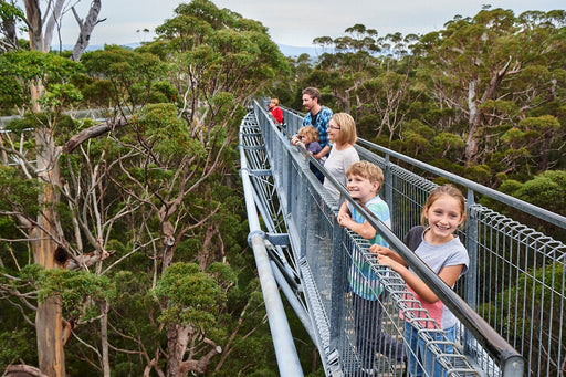 Valley Of The Giants Tree Top Walk - We Wander