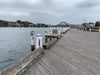 Waratah - Steaming Sundays - We Wander