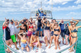Whale Shark Adventure Swim Exmouth - We Wander