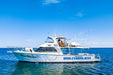 Whale Shark Adventure Swim Exmouth - We Wander