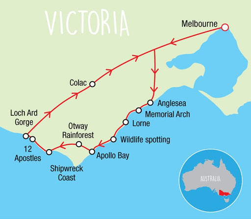 Wildlife Tours Australia: 1 Day Great Ocean Road + Rainforest Walk Tour - We Wander