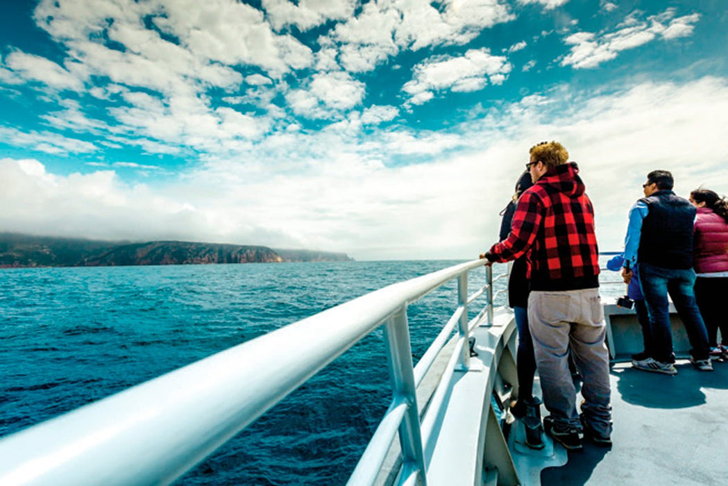 Wineglass Bay Cruises - Sky Lounge For Adults Only - We Wander