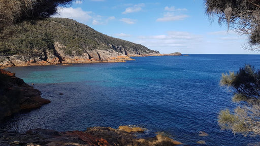 Wineglass Bay & Freycinet Peninsula Day Tour - We Wander