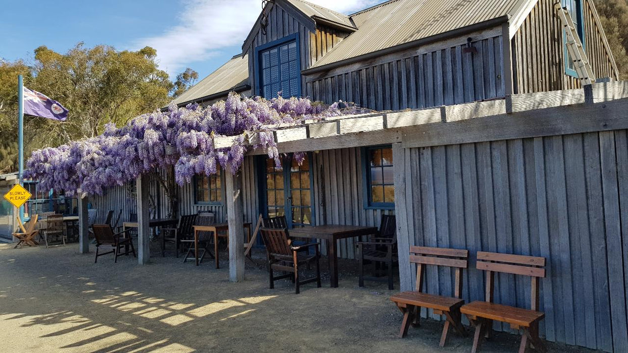 Wineglass Bay & Freycinet Peninsula Day Tour - We Wander