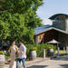 Winery Tour & Wine Tasting With 3 Course Lunch At At Sirromet's Tuscan Terrace - We Wander
