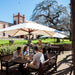 Yalumba Unearthed Experience - We Wander