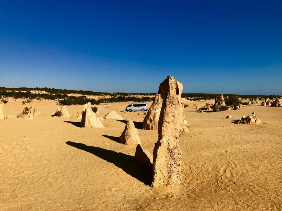 Yanchep, Lancelin, And Pinnacles Exclusive Private Full Day Tour - We Wander