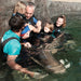 Zebra Shark Encounter With Entry Pass - We Wander